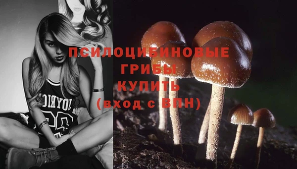 каннабис Кукмор