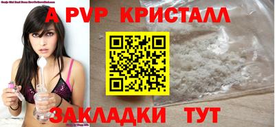 стаф Донецк