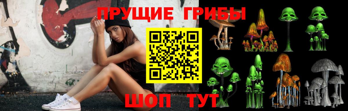 Псилоцибиновые грибы Cubensis  Вход с VPN  купить наркотики цена  Псилоцибиновые грибы MAGIC MUSHROOMS  Михайловка 
